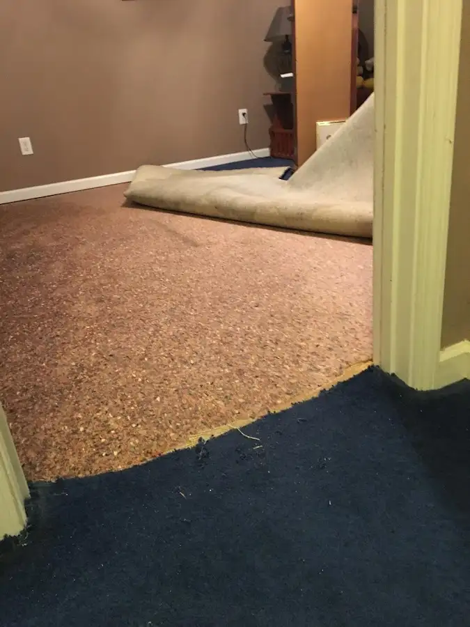 Carpet pad removal revealing water damage during Drying & Dehumidification in Hazel Park