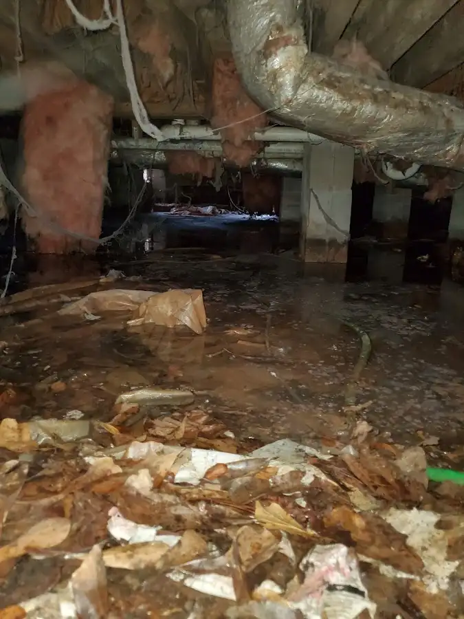 Crawl space flood assessment for Commercial Water Damage Restoration in Hazel Park