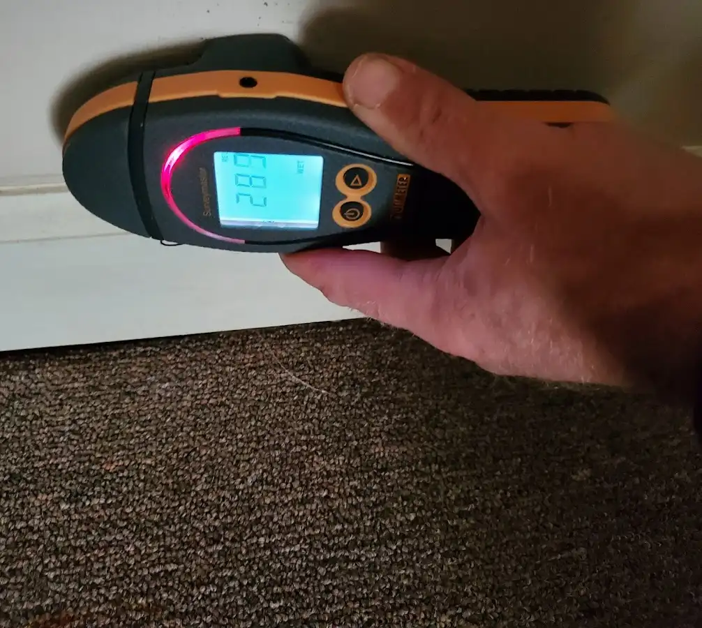 Moisture detection at baseboard during Sewage Cleanup & Sanitation in Hazel Park
